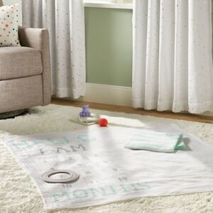 Muslin Blanket “I Am Months Old” Mint/ Gray 47”X47”
